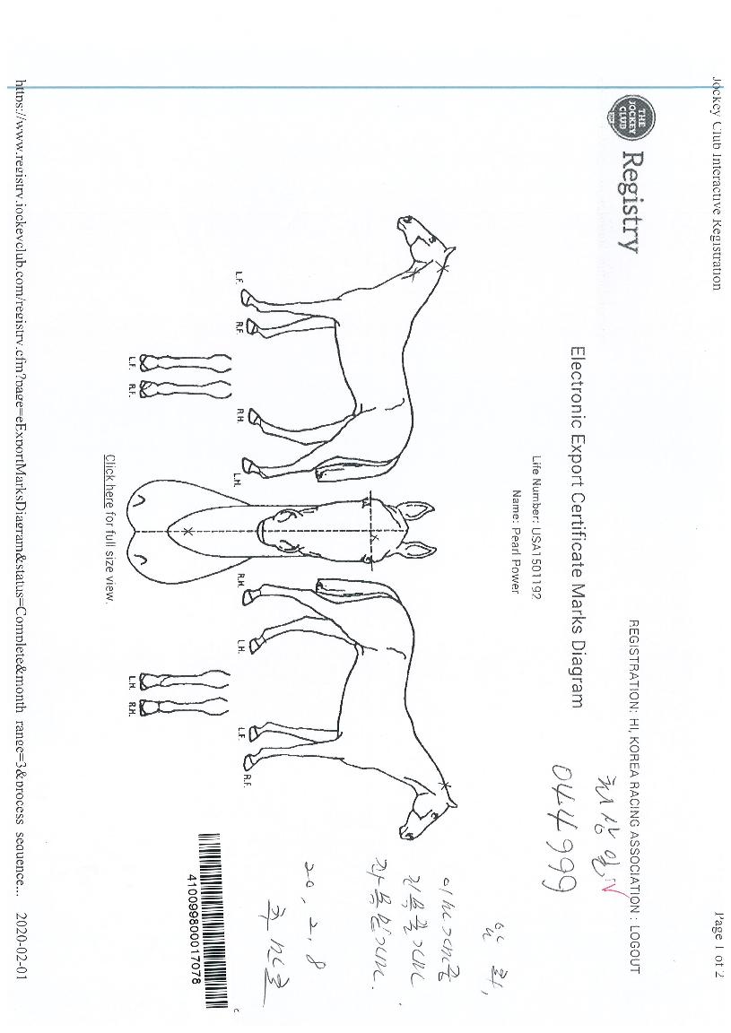 ÆÞÆÄ¿öÀÇ Ãø¸é,¿ì¸é,µÞ¸é,µÎ»ó,´Ù¸®ÀÇ Æ¯Â¡µµÇØ