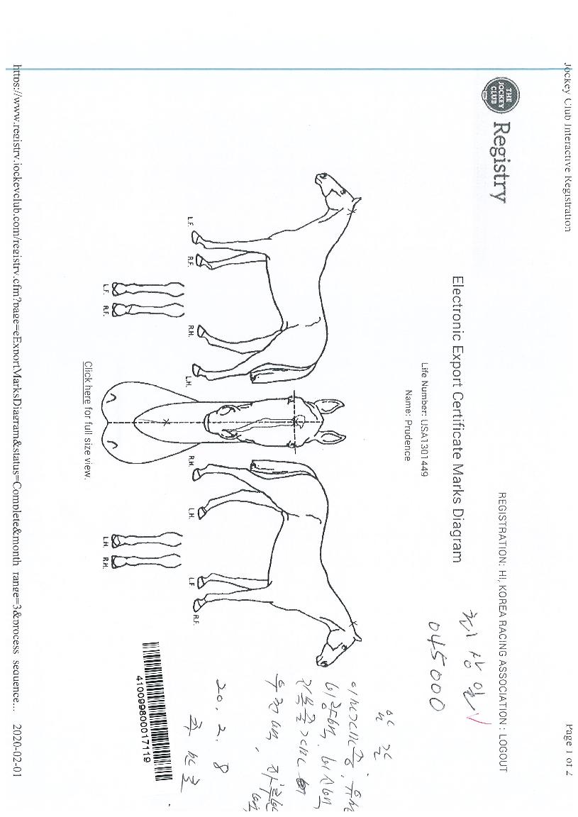 ��������� ����,���,�޸�,�λ�,�ٸ��� Ư¡����