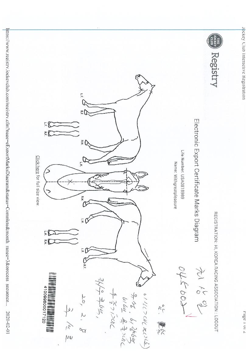 À§µå±×·¹ÀÌÆ®Ç÷¹ÀÇ Ãø¸é,¿ì¸é,µÞ¸é,µÎ»ó,´Ù¸®ÀÇ Æ¯Â¡µµÇØ