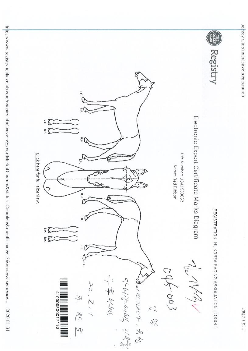 ·¹µå¸®º»ÀÇ Ãø¸é,¿ì¸é,µÞ¸é,µÎ»ó,´Ù¸®ÀÇ Æ¯Â¡µµÇØ