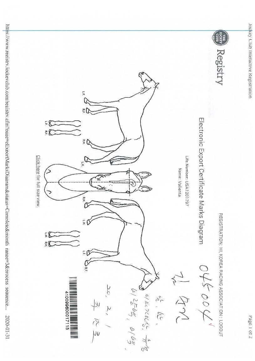 �븮��Ÿ�� ����,���,�޸�,�λ�,�ٸ��� Ư¡����