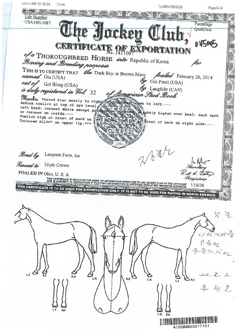 Áö¾ÆÀÇ Ãø¸é,¿ì¸é,µÞ¸é,µÎ»ó,´Ù¸®ÀÇ Æ¯Â¡µµÇØ