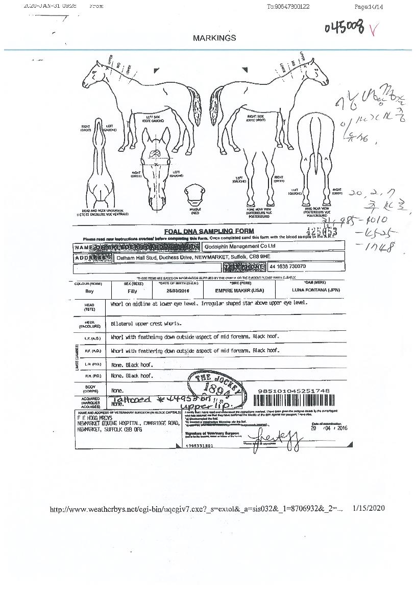 �������� ����,���,�޸�,�λ�,�ٸ��� Ư¡����