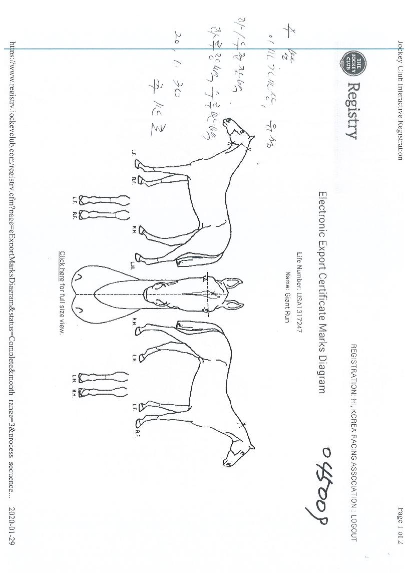 ���̾�Ʈ���� ����,���,�޸�,�λ�,�ٸ��� Ư¡����