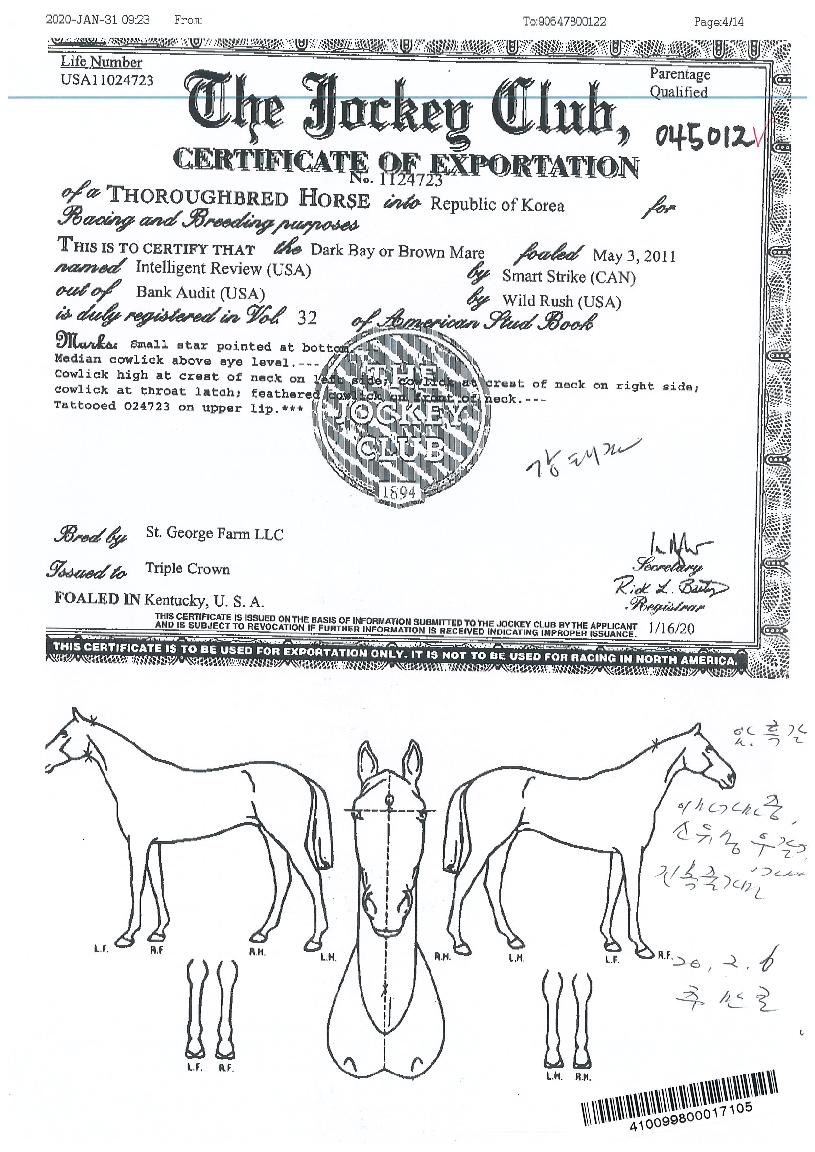 ÀÎÅÚ¸®Á¨Æ®¸®ºäÀÇ Ãø¸é,¿ì¸é,µÞ¸é,µÎ»ó,´Ù¸®ÀÇ Æ¯Â¡µµÇØ