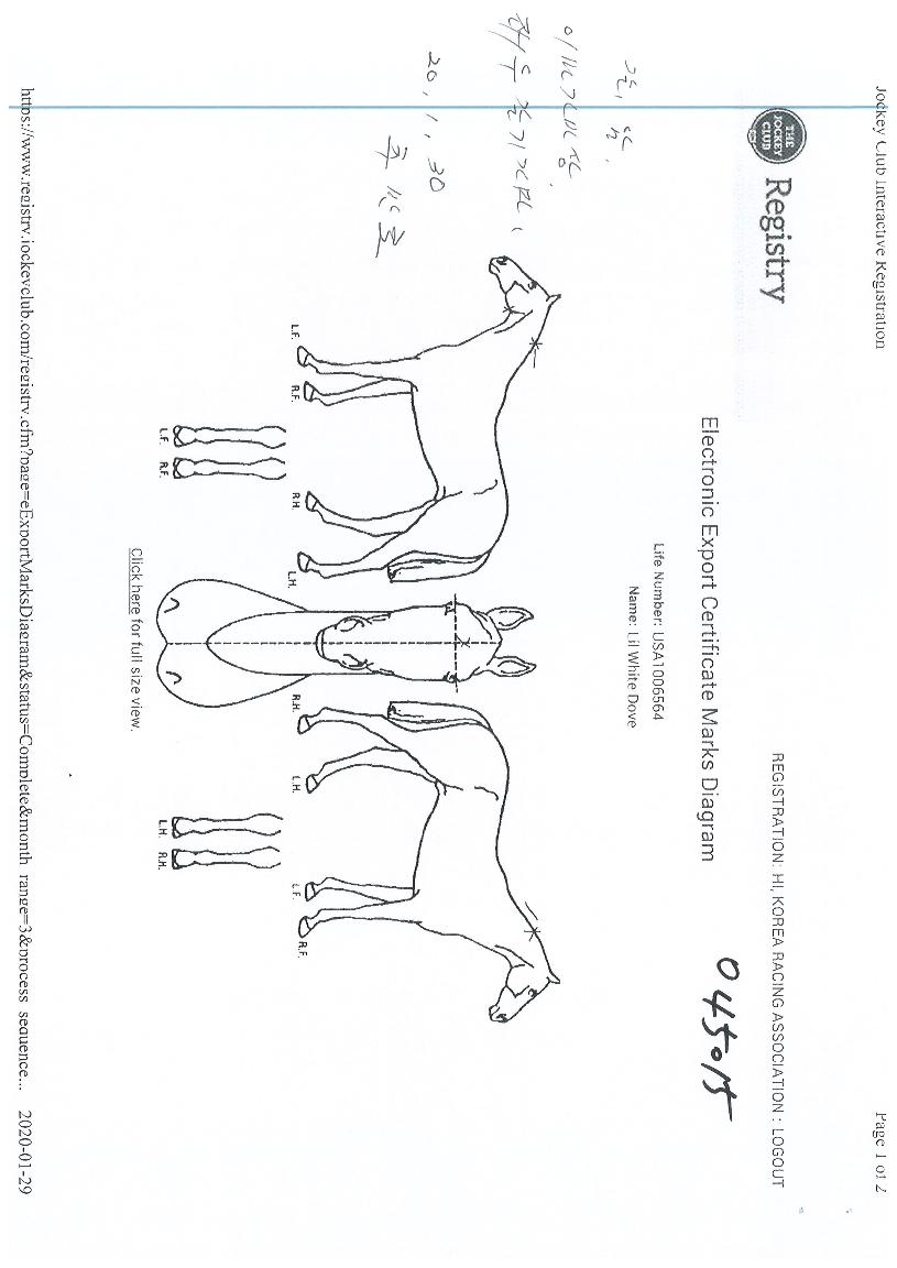 ��ȭ��Ʈ������ ����,���,�޸�,�λ�,�ٸ��� Ư¡����