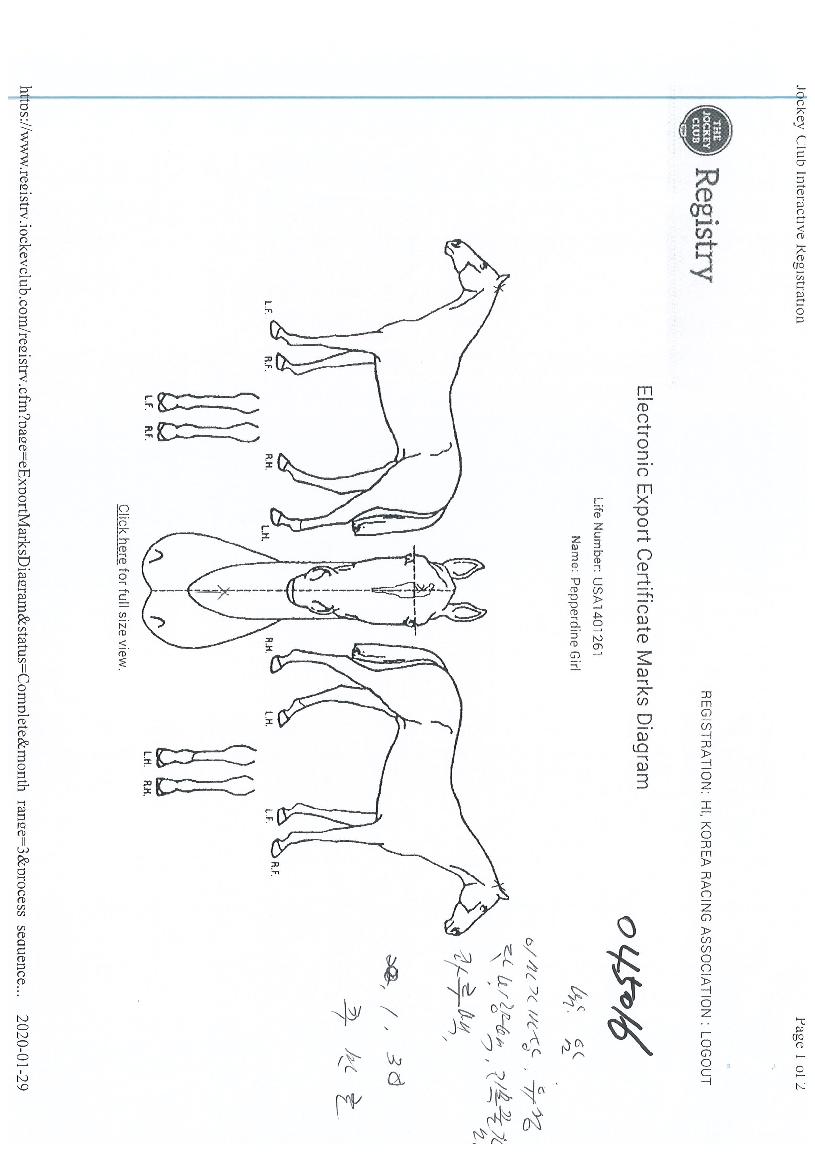 ���۵���� ����,���,�޸�,�λ�,�ٸ��� Ư¡����