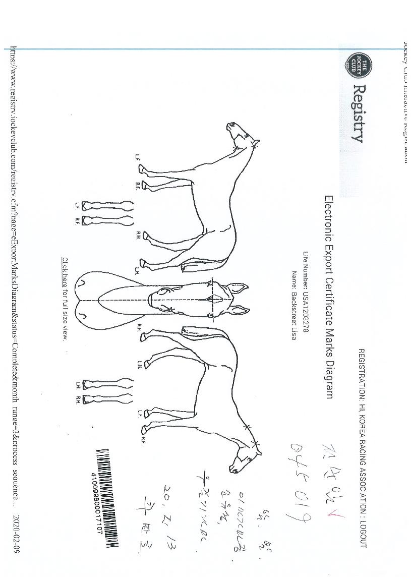 �齺Ʈ��Ʈ������ ����,���,�޸�,�λ�,�ٸ��� Ư¡����