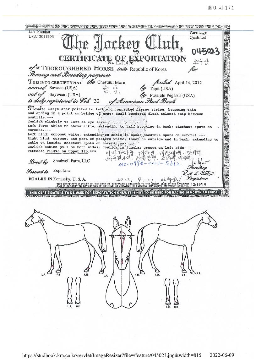 �ҿ���� ����,���,�޸�,�λ�,�ٸ��� Ư¡����