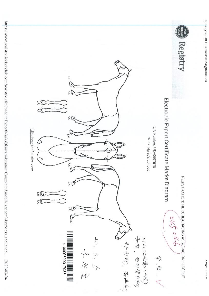 ÇìÀϸ®Áî·Ñ¸®ÆËÀÇ Ãø¸é,¿ì¸é,µÞ¸é,µÎ»ó,´Ù¸®ÀÇ Æ¯Â¡µµÇØ