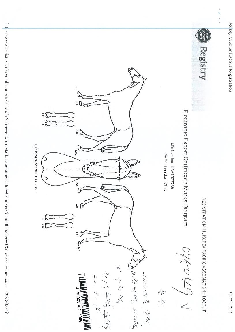 ÇÁ¸®´ýÂ÷ÀϵåÀÇ Ãø¸é,¿ì¸é,µÞ¸é,µÎ»ó,´Ù¸®ÀÇ Æ¯Â¡µµÇØ