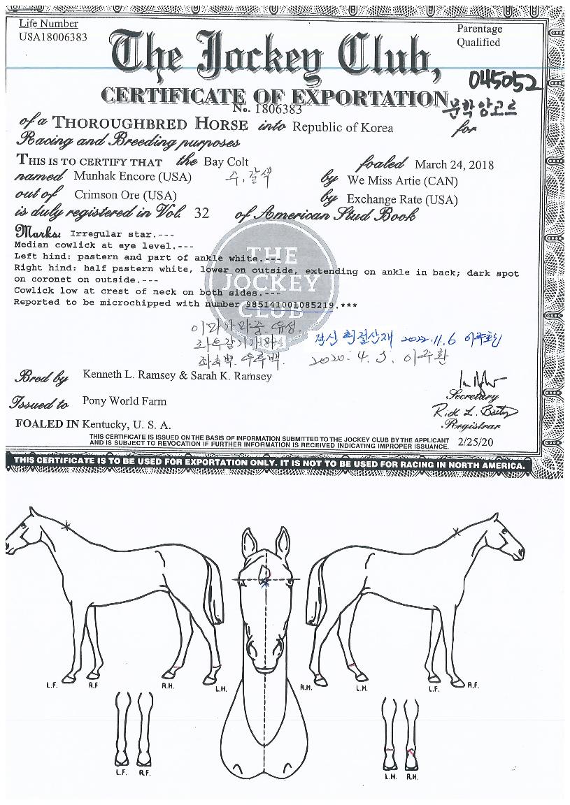 ���о��ڸ��� ����,���,�޸�,�λ�,�ٸ��� Ư¡����