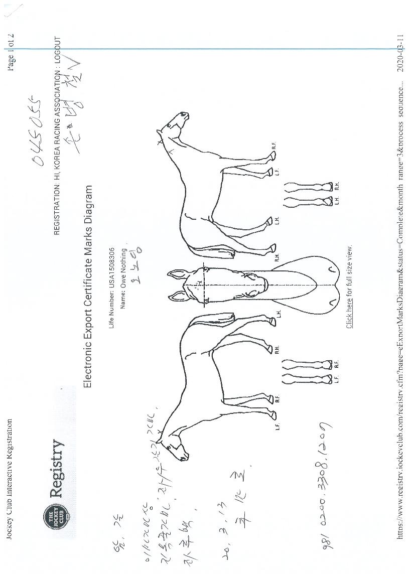 ���ʽ��� ����,���,�޸�,�λ�,�ٸ��� Ư¡����