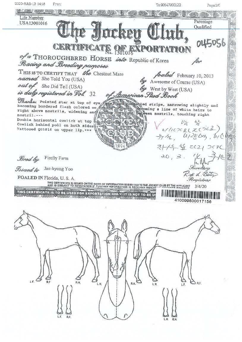 ��������� ����,���,�޸�,�λ�,�ٸ��� Ư¡����