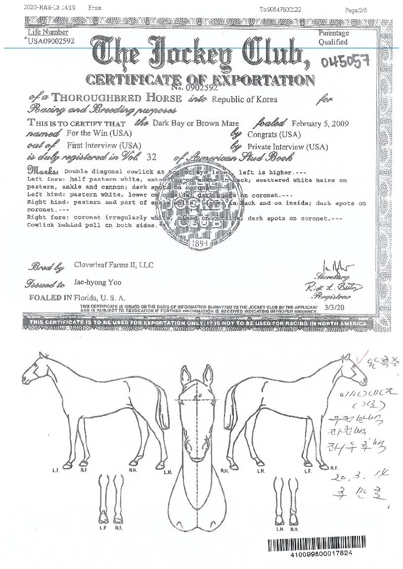 �������� ����,���,�޸�,�λ�,�ٸ��� Ư¡����