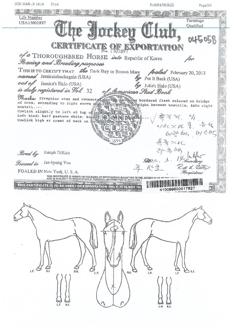 ����ī��������� ����,���,�޸�,�λ�,�ٸ��� Ư¡����