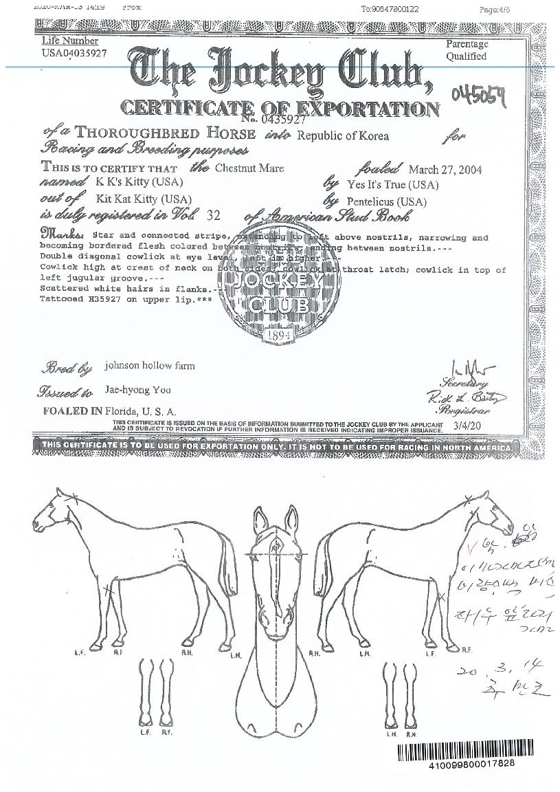 ÄÉÀÌÄÉÀÌÁîŰƼÀÇ Ãø¸é,¿ì¸é,µÞ¸é,µÎ»ó,´Ù¸®ÀÇ Æ¯Â¡µµÇØ