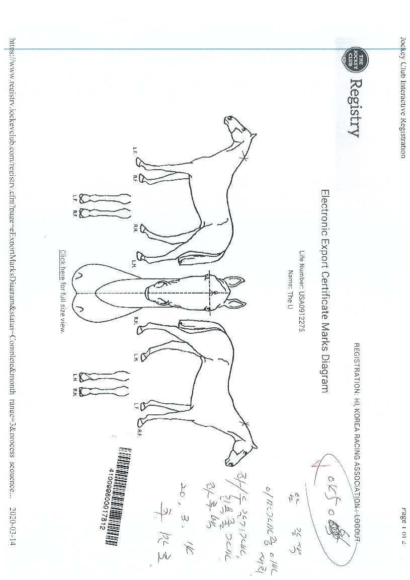 ������ ����,���,�޸�,�λ�,�ٸ��� Ư¡����