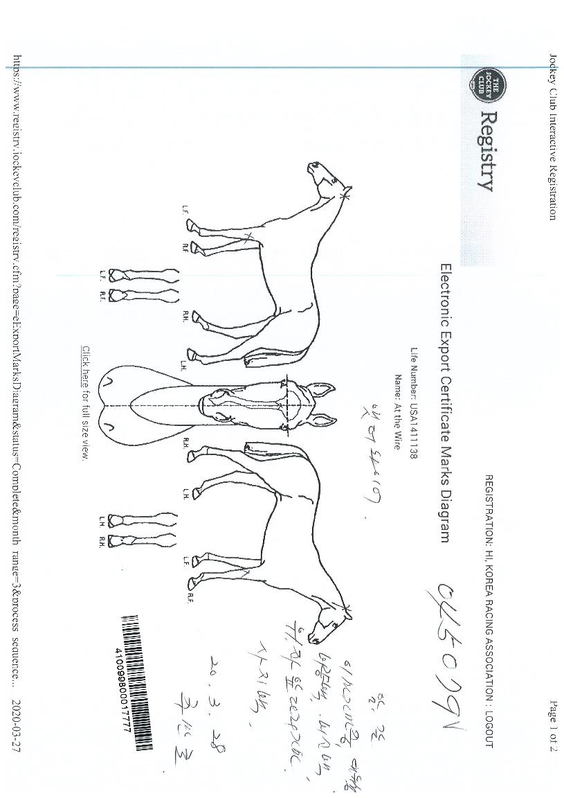 �ܴ����̾��� ����,���,�޸�,�λ�,�ٸ��� Ư¡����