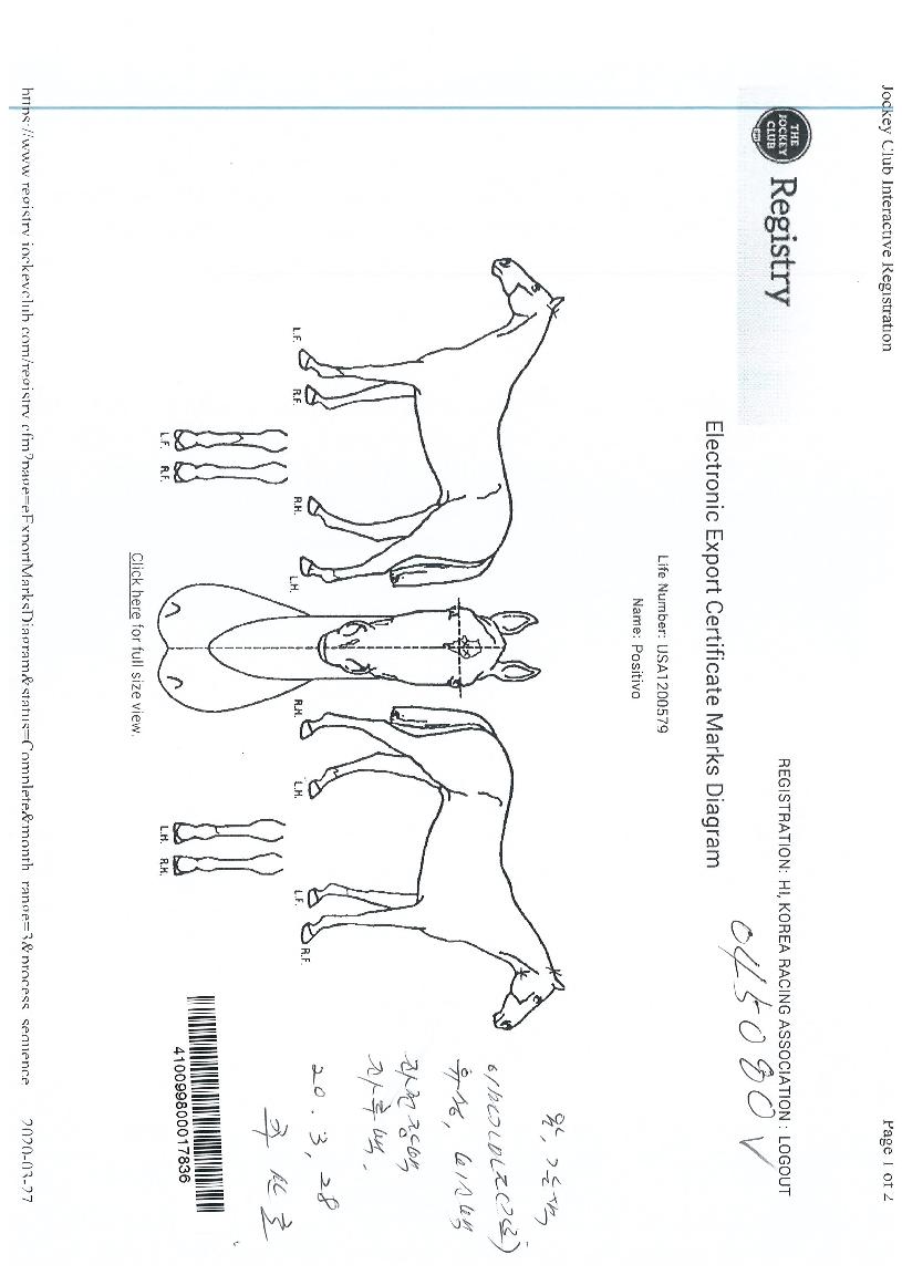 Æ÷ÁöƼº¸ÀÇ Ãø¸é,¿ì¸é,µÞ¸é,µÎ»ó,´Ù¸®ÀÇ Æ¯Â¡µµÇØ