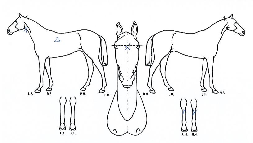 Ÿ��Ÿ��Ÿ���� ����,���,�޸�,�λ�,�ٸ��� Ư¡����