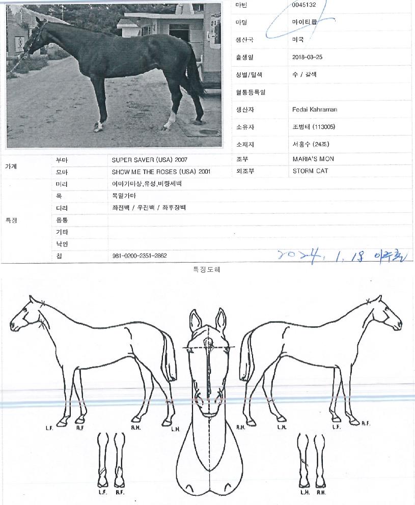 ����Ƽ���� ����,���,�޸�,�λ�,�ٸ��� Ư¡����