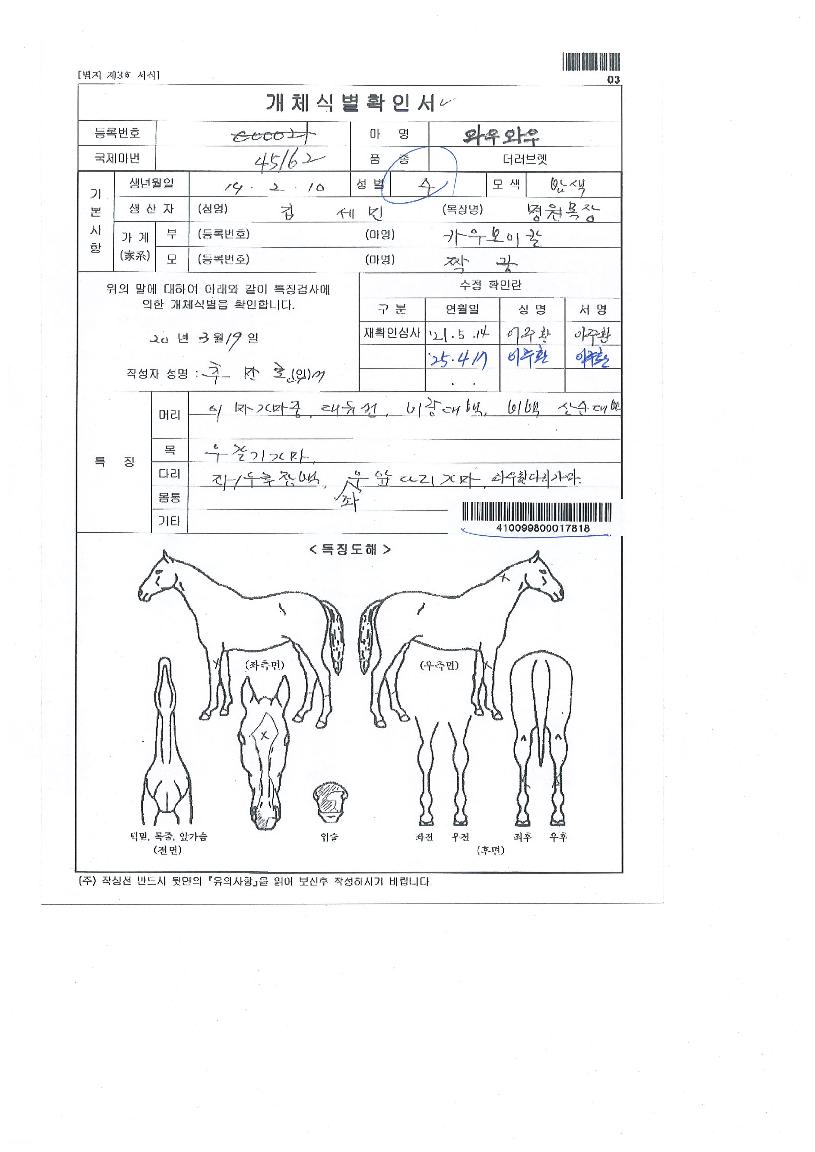 ¿Í¿ì¿Í¿ìÀÇ Ãø¸é,¿ì¸é,µÞ¸é,µÎ»ó,´Ù¸®ÀÇ Æ¯Â¡µµÇØ