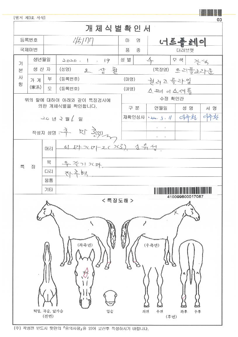 ³ÊÆ®Ç÷¹ÀÌÀÇ Ãø¸é,¿ì¸é,µÞ¸é,µÎ»ó,´Ù¸®ÀÇ Æ¯Â¡µµÇØ