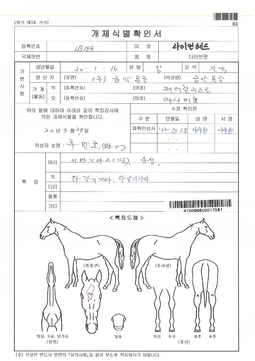 ¶óÀ̾ðÇìµåÀÇ Ãø¸é,¿ì¸é,µÞ¸é,µÎ»ó,´Ù¸®ÀÇ Æ¯Â¡µµÇØ