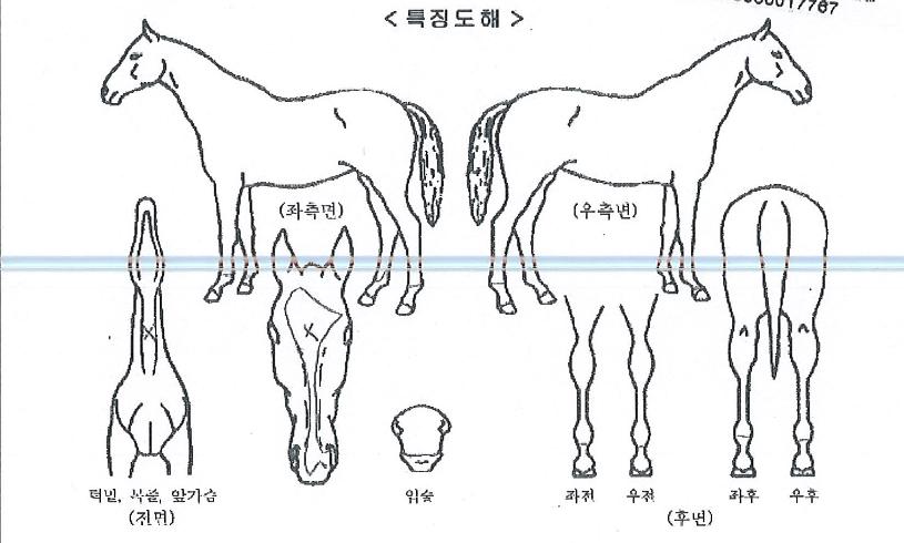 ¿¥Á¦ÀÌ´ë·ÎÀÇ Ãø¸é,¿ì¸é,µÞ¸é,µÎ»ó,´Ù¸®ÀÇ Æ¯Â¡µµÇØ