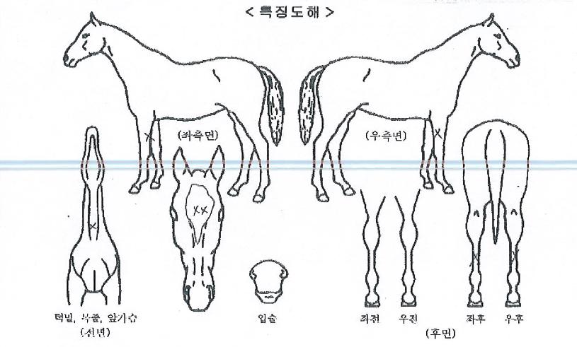 ���̺�ũ���� ����,���,�޸�,�λ�,�ٸ��� Ư¡����