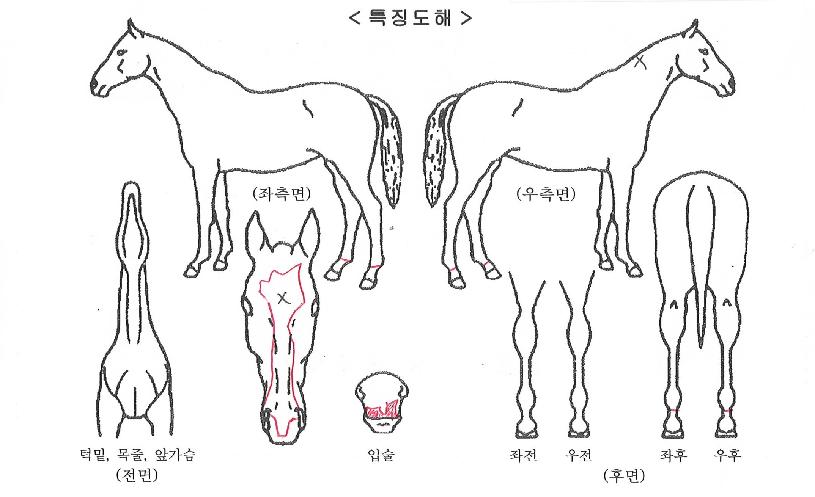 �����÷����� ����,���,�޸�,�λ�,�ٸ��� Ư¡����