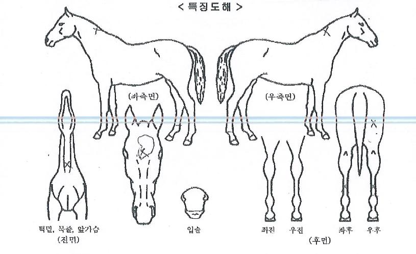 ¥���������� ����,���,�޸�,�λ�,�ٸ��� Ư¡����