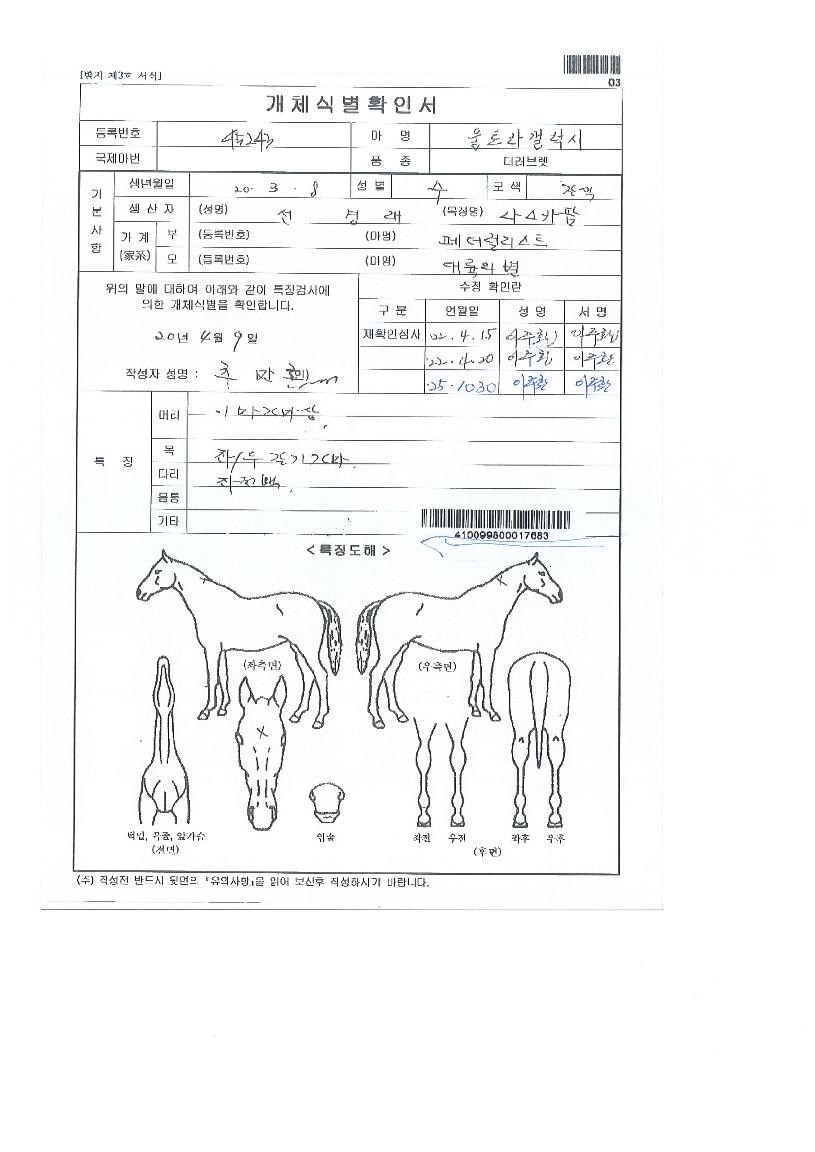 ��Ʈ�󰶷����� ����,���,�޸�,�λ�,�ٸ��� Ư¡����