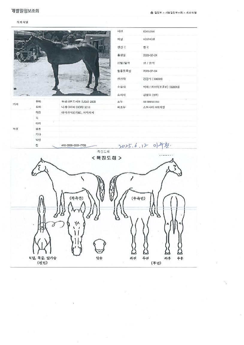 �ٵ��ٵ��� ����,���,�޸�,�λ�,�ٸ��� Ư¡����