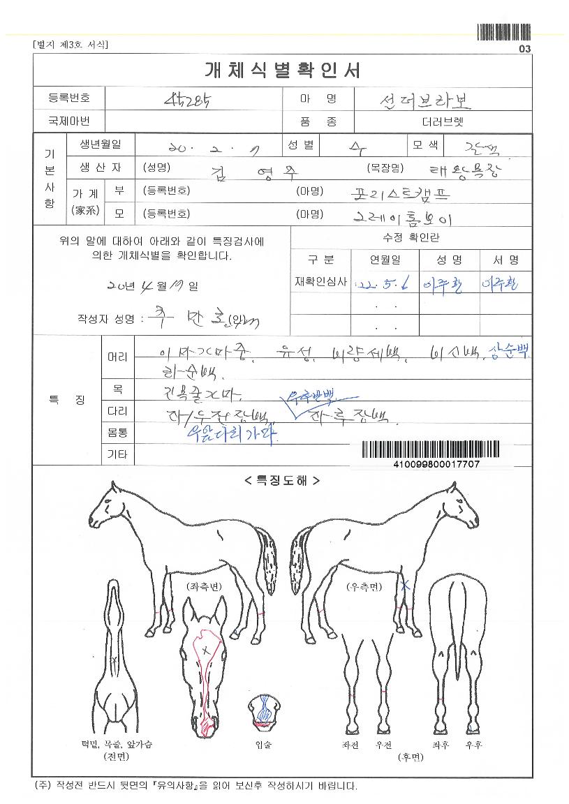 ¼±´õºê¶óº¸ÀÇ Ãø¸é,¿ì¸é,µÞ¸é,µÎ»ó,´Ù¸®ÀÇ Æ¯Â¡µµÇØ