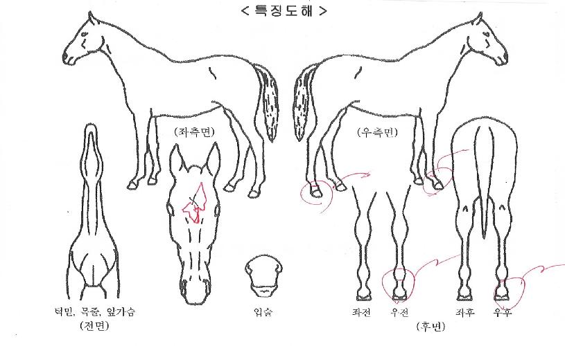 ������丮�� ����,���,�޸�,�λ�,�ٸ��� Ư¡����