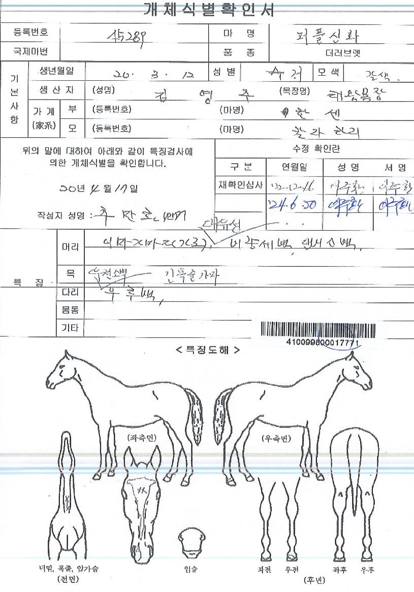 ���ý�ȭ�� ����,���,�޸�,�λ�,�ٸ��� Ư¡����