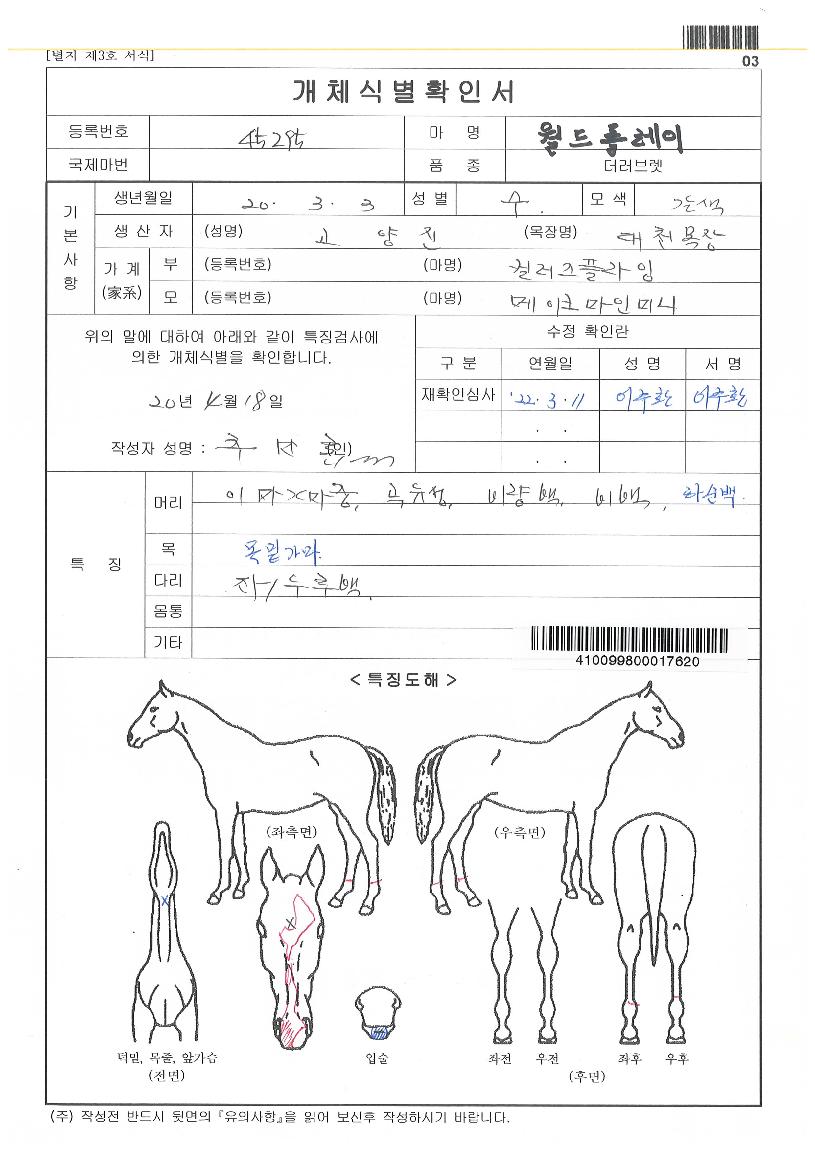 ¿ùµåÇ÷¹ÀÌÀÇ Ãø¸é,¿ì¸é,µÞ¸é,µÎ»ó,´Ù¸®ÀÇ Æ¯Â¡µµÇØ