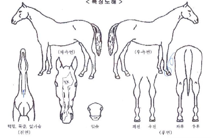 ���÷����� ����,���,�޸�,�λ�,�ٸ��� Ư¡����