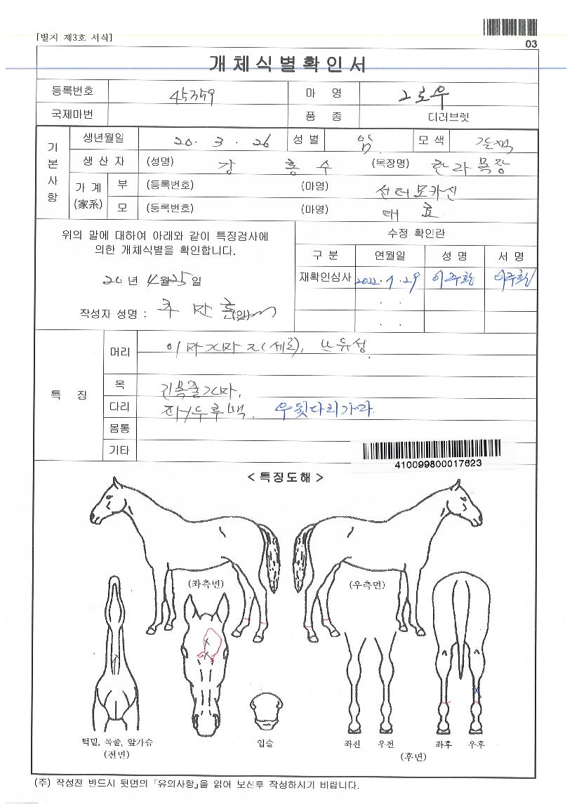 �׷ο��� ����,���,�޸�,�λ�,�ٸ��� Ư¡����