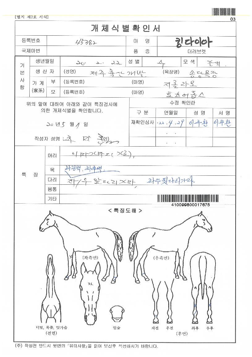 ŷ���̾��� ����,���,�޸�,�λ�,�ٸ��� Ư¡����