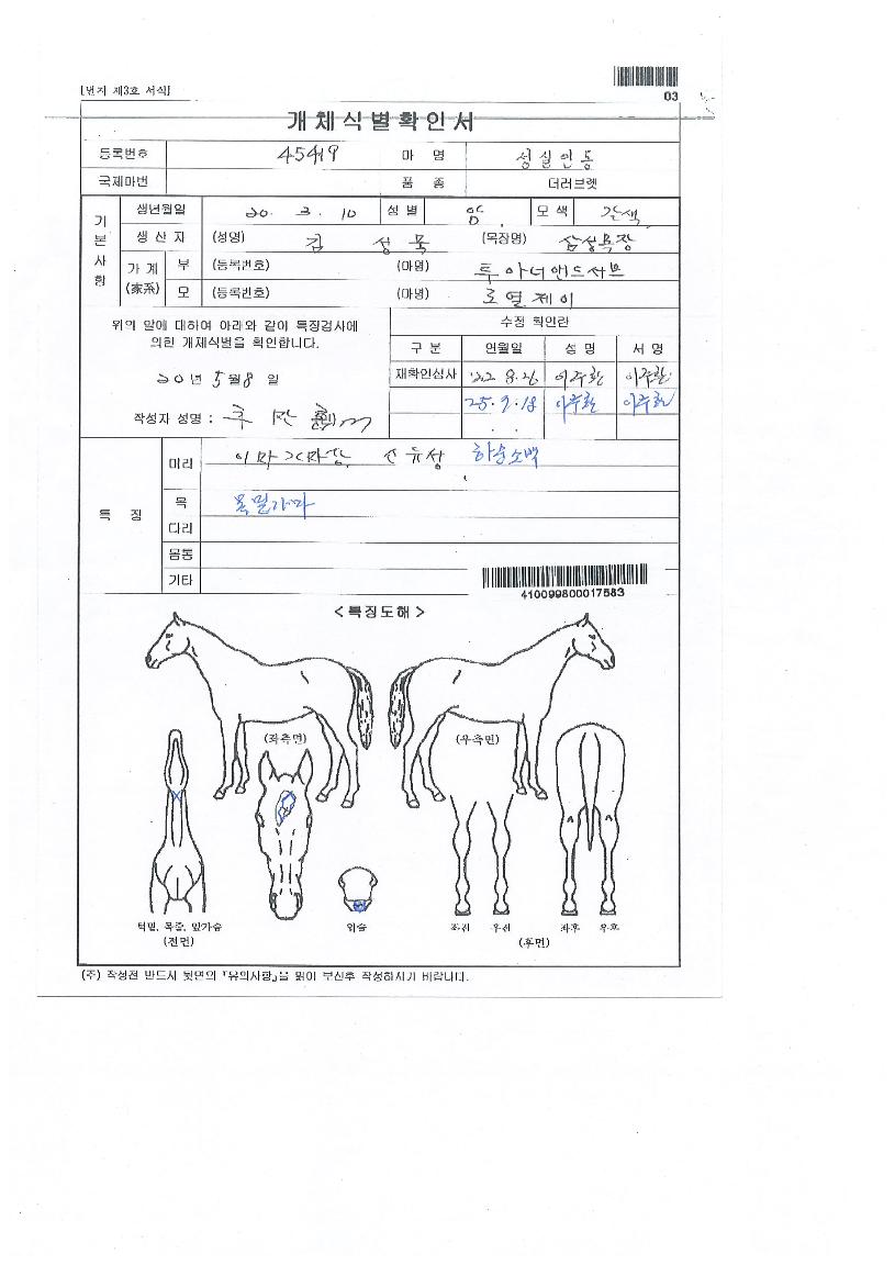 �����ε��� ����,���,�޸�,�λ�,�ٸ��� Ư¡����