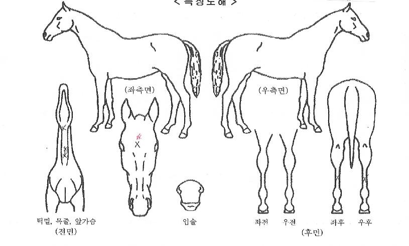 ���������� ����,���,�޸�,�λ�,�ٸ��� Ư¡����