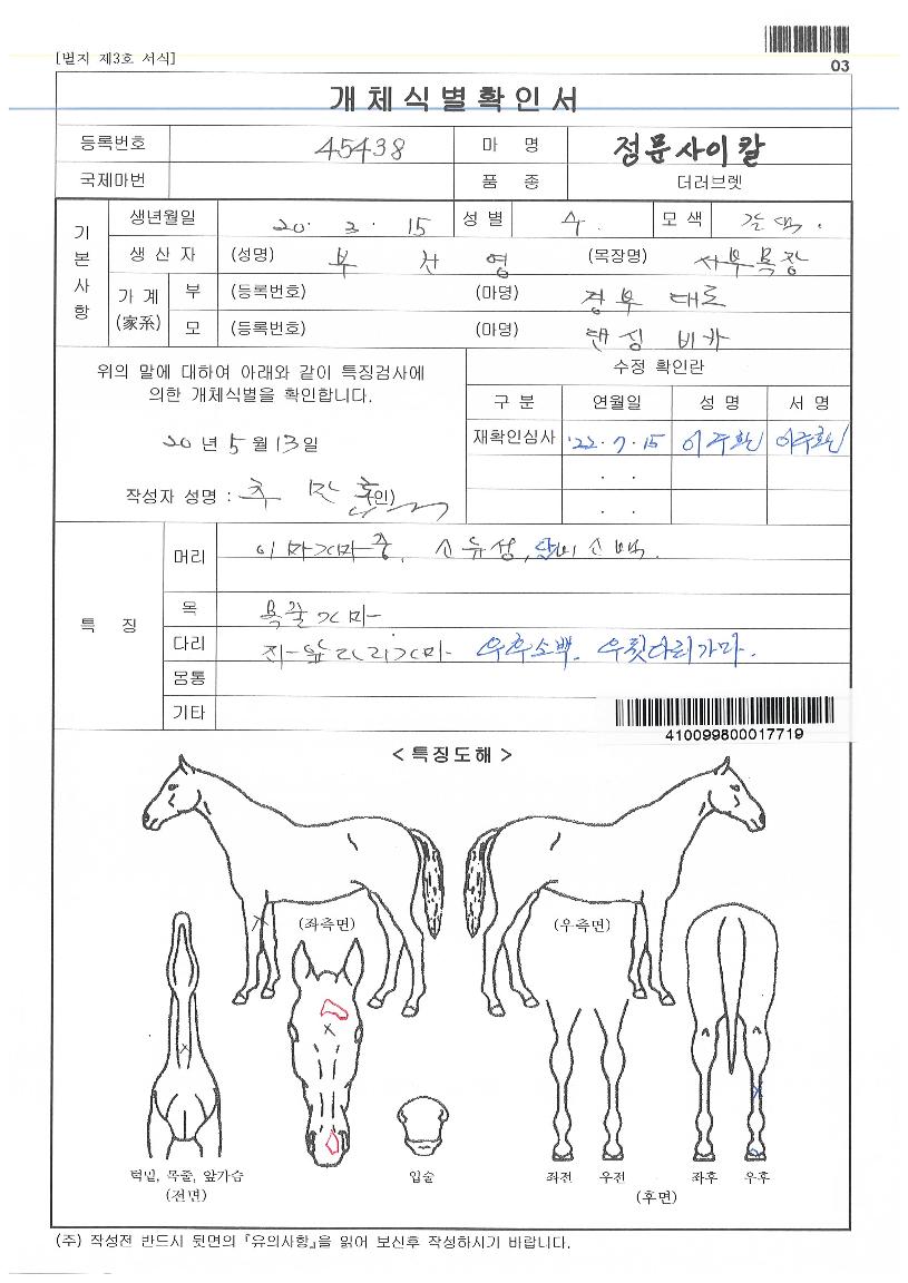 ��������Į�� ����,���,�޸�,�λ�,�ٸ��� Ư¡����