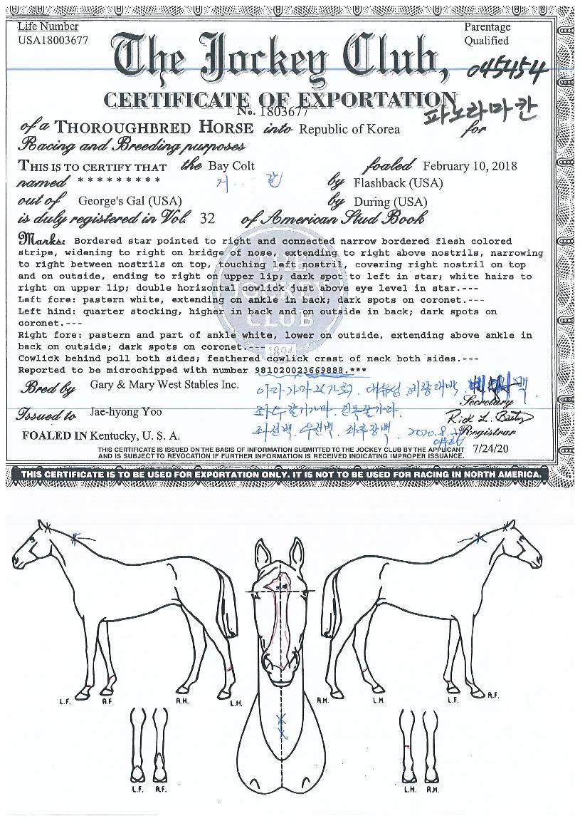 �ĳ��ĭ�� ����,���,�޸�,�λ�,�ٸ��� Ư¡����