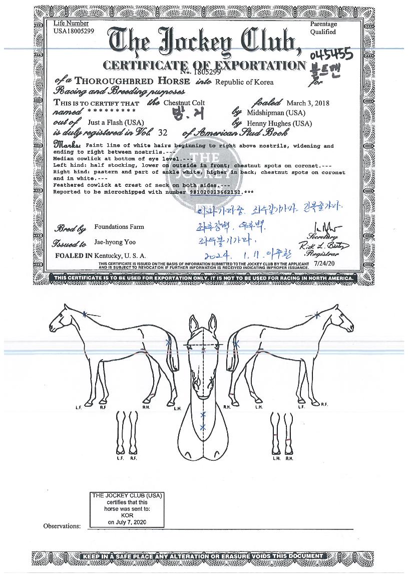 º¼Æ®¸ÇÀÇ Ãø¸é,¿ì¸é,µÞ¸é,µÎ»ó,´Ù¸®ÀÇ Æ¯Â¡µµÇØ