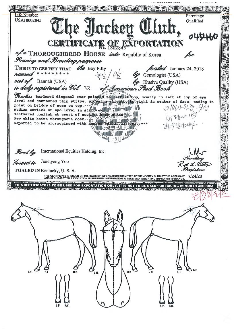 Ƽ����Ƽ���� ����,���,�޸�,�λ�,�ٸ��� Ư¡����