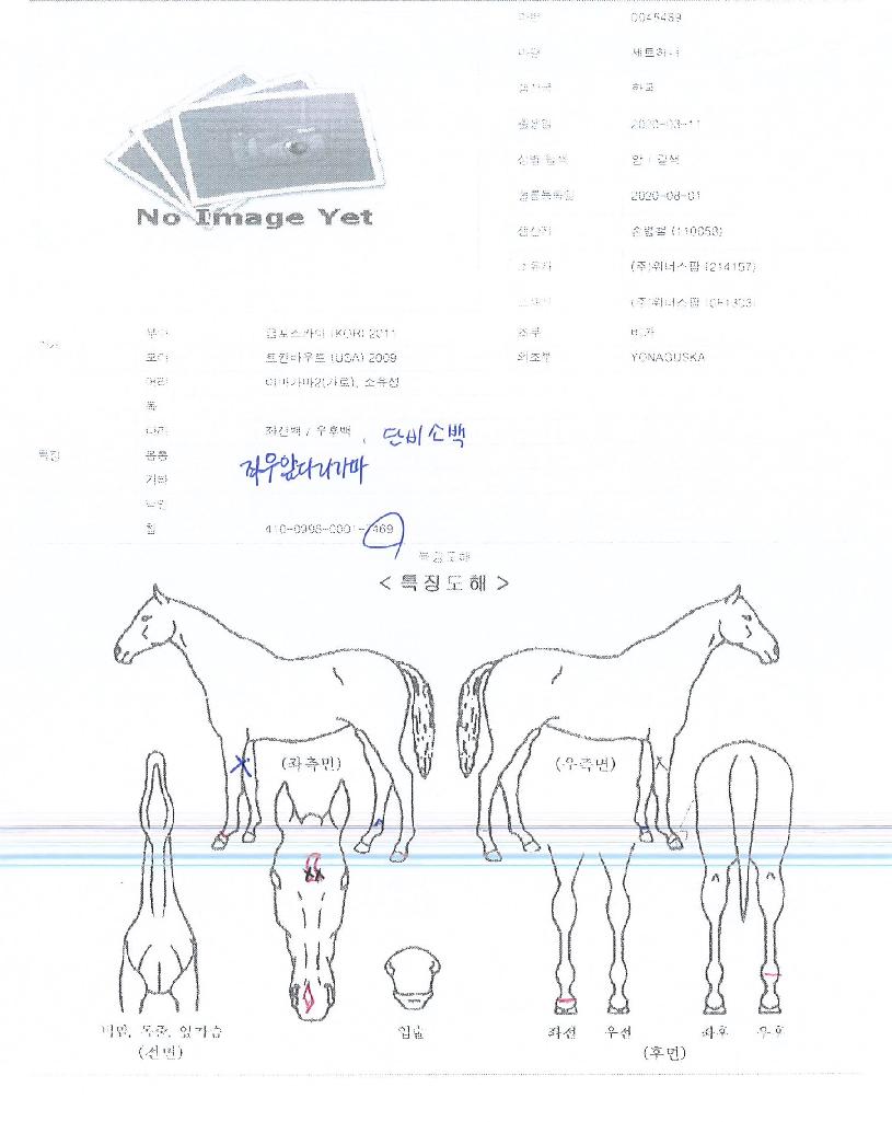 Á¦Æ®Çã´ÏÀÇ Ãø¸é,¿ì¸é,µÞ¸é,µÎ»ó,´Ù¸®ÀÇ Æ¯Â¡µµÇØ