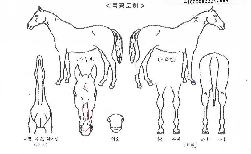 �����¾��� ����,���,�޸�,�λ�,�ٸ��� Ư¡����